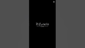 الشيخ ياسر الدوسري -  سورة لقمان