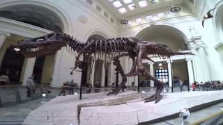 Chicago   April 2016   Field Museum by Brasso Bob Harrison 54 views 8 years ago 3 minutes, 41 seconds