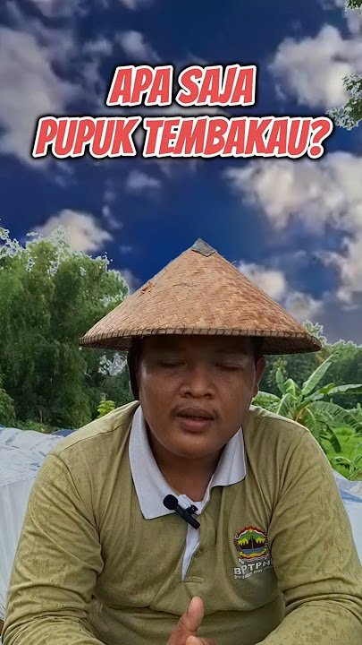 Pupuk Tembakau agar daun tebal dan berkualitas