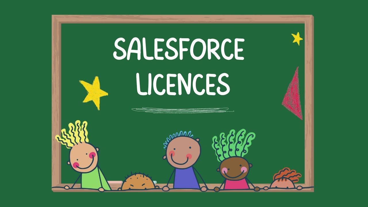 salesforce-licenses-internal-and-external-2023-youtube
