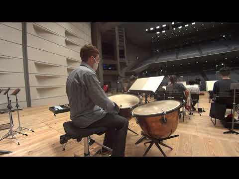 ティンパニマレット FUGA : Beethoven2 JGpercussion David Herbert DH2 Beethoven Carbon Fiber
