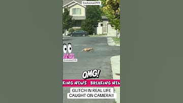 GLITCH IN REAL LIFE CAUGHT ON CAMERA! #glitch #shorts #matrix #viral #tranding #cat #fyp #trending