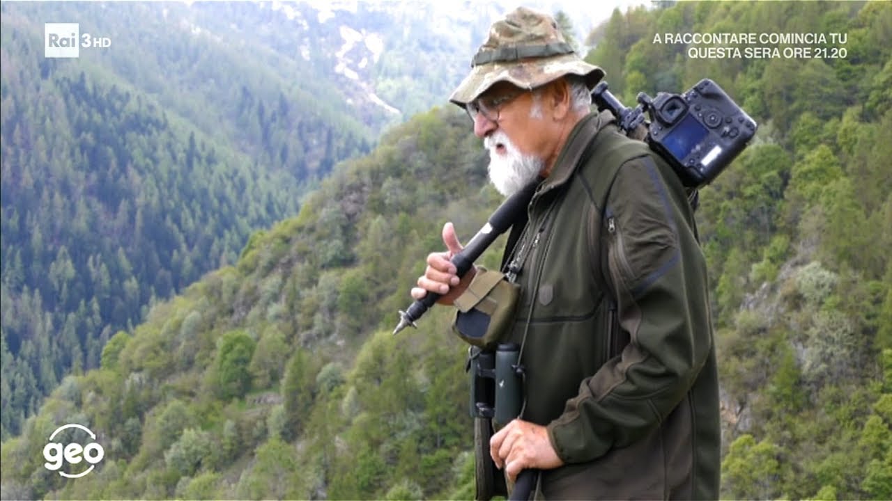 ROURE VAL CHISONE - Battista Gai, Re di bastoni