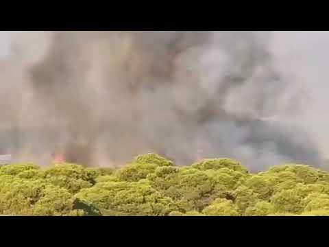 Lepe: estabilizado aunque no controlado el incendio declarado cerca de Islantilla Golf