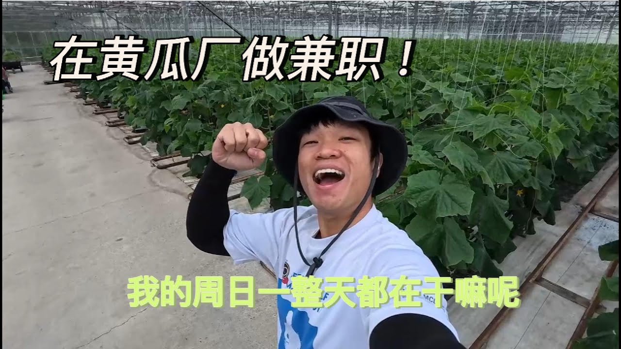 《NZwhv.4》行程满满的周日！工作，修车，吃饭！