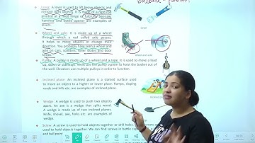 Chapter 13 Force, Work and Energy | Science Class 4