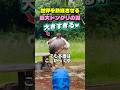 世界を熱狂させる巨大ドングリの謎😳