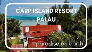 ForSomethingMore - Palau Carp Island Resort