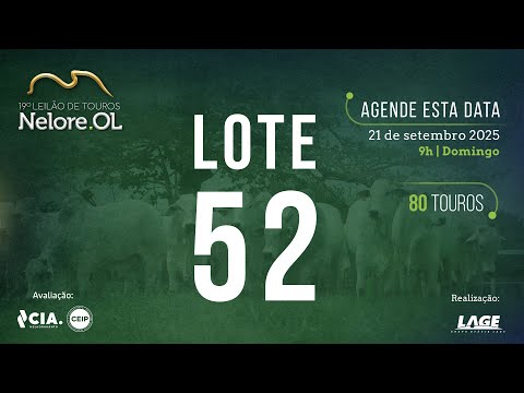 LOTE 52 V91062 - 19º Leilão de Touros Nelore OL