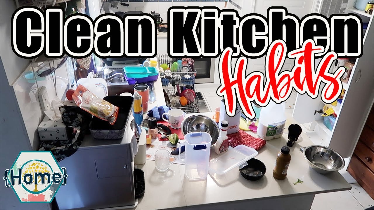Real life Disgusting Kitchen Creating habits to keep a clean kitchen