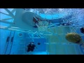 Underwater Astronaut Trainer at Space Camp