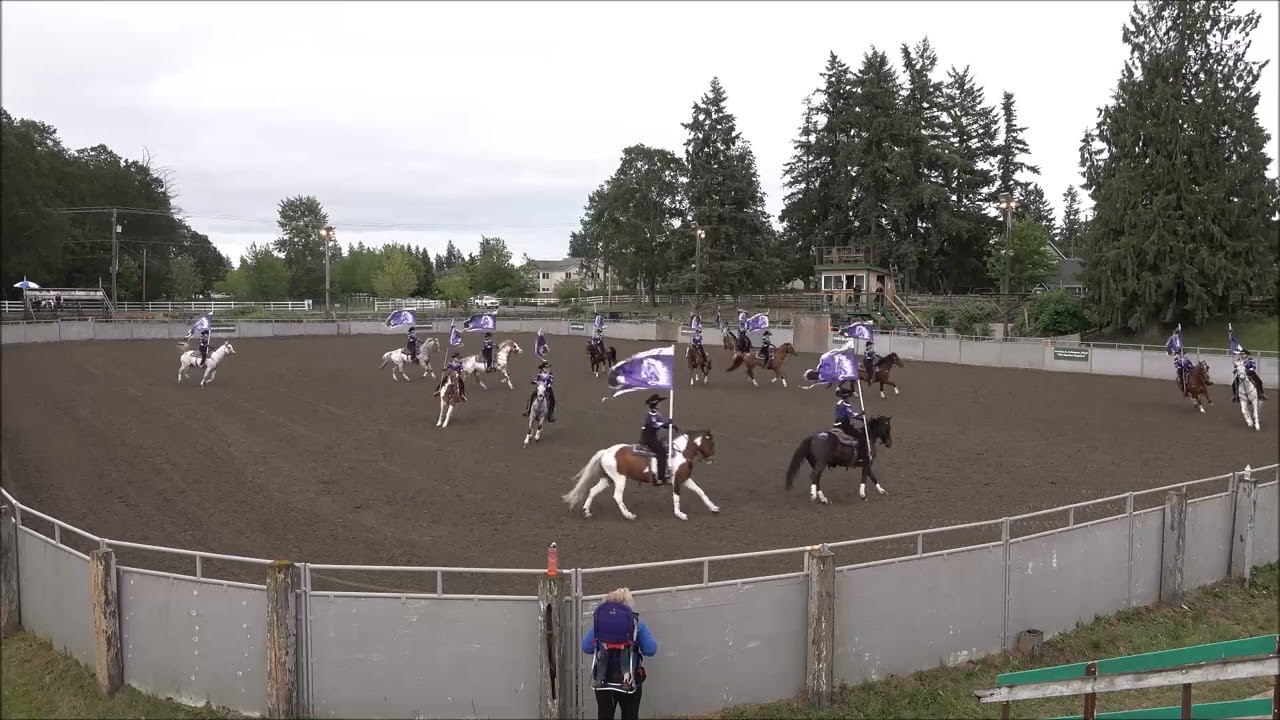 Freestyle -  Firestorm