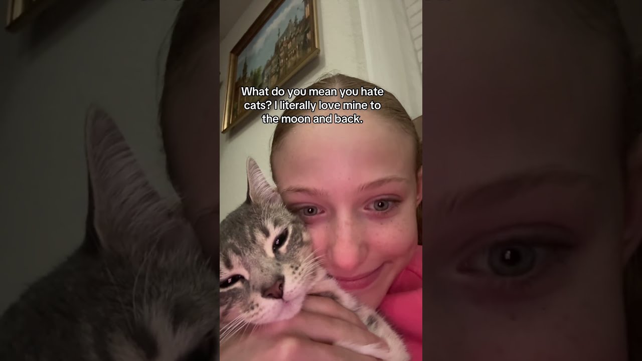  Who Else Loves Cats Cat Catlovers