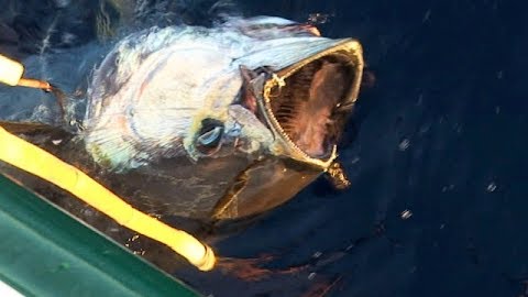 The History of a Fishing Legend: Mag Bay Part 2