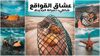 عشاق تجميع القواقع والاصداف والتعديل ب لايت روم بالموبايل screenshot 3