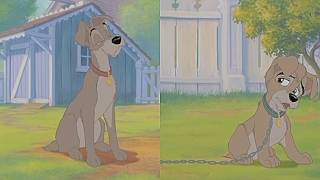 Lady And The Tramp II: Scamps Adventure: Tramp & Scamp (Split Screen) (Slow) @shauneyboy1999