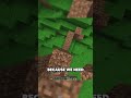 The Vault Construction! P1