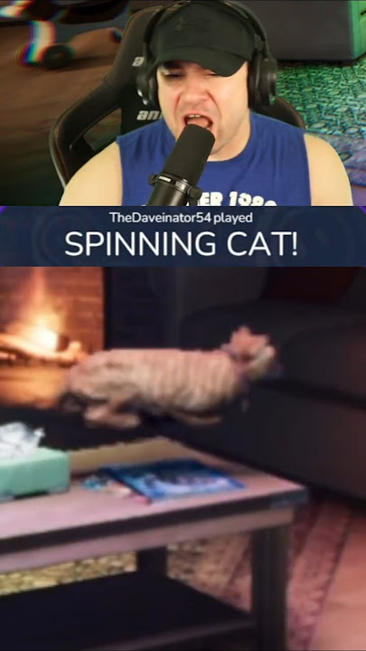 My viewers made a cursed meme spawn in 💀