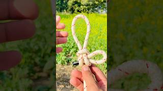 Double Rope Knot #shorts #knots #knotskills
