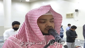 تلاوة حجازية مميزة ما تيسر من سورة الحديد  القارئ/ رأفت مولوي