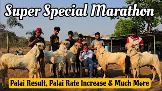 MD Goat Farm Super Special Palai Marathon | Almost Everything in 1 Video