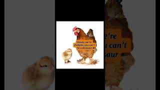 I tried. Not my idea, check description #chickens #memes #dinonuggets