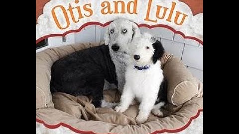 Otis and Lulu Level B Guided Reading with Ms. O