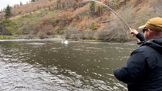 Crazy Day in Washington - Spey Fishing for Summer Steelhead by Watershed Fly Shop 5,505 views 5 months ago 7 minutes, 57 seconds