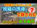 【蒸気船マークトウェイン号】「視線の誘導」で隠された、見られたくない「ある場所」〈東京ディズニーランド〉