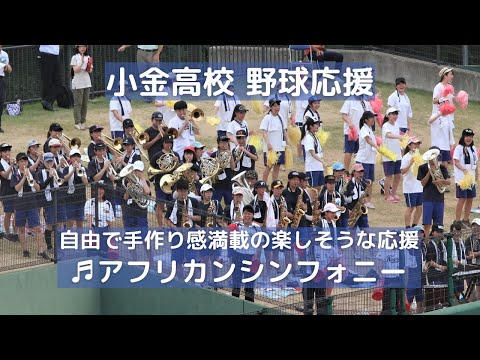 小金高校 高校野球応援「アフリカンシンフォニー」自由で手作り感満載の楽しそうな応援（千葉県高校野球応援2017）