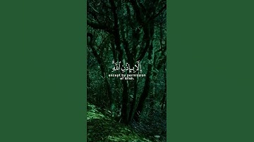 سورة التغابن / رعد الكردي