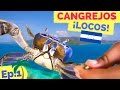 CAZANDO CANGREJOS EN HONDURAS -  La Cooquette Travels: Guanaja (Ep. 1/4)