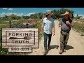 Sustainability & Farm to Table Show | #1  Regenerative Agriculture