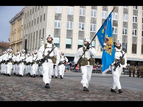 Video: Behöver du licens för fågelskoter?