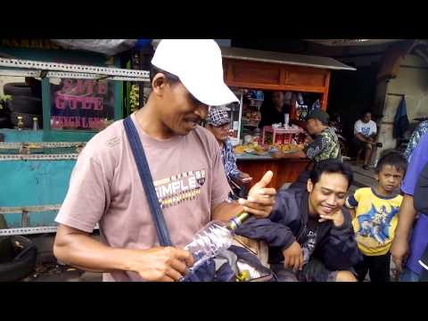 Unik Dan Menarik..!! MAINAN UNIK TEROMPET BOTOL BISA BICARA, MENYANYI, TERTAWA DAN MENANGIS