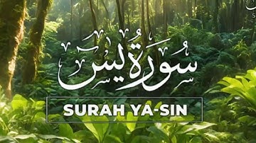 Surah Yasin (Yaseen) سورة يس | Heart touching marvelous beautiful voice | QURAN ZIKR
