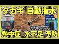 【自動潅水】野菜と果樹のDIY自動潅水システムの作り方【タカギかんたん水やり】