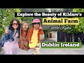 Animal Farm Tour with little Kuku | Ireland | ​⁠@littlekuku
