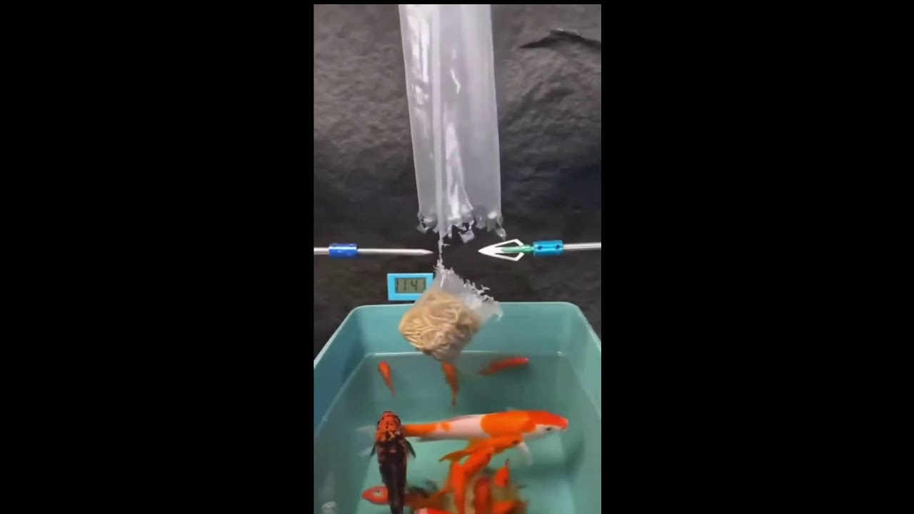 СТРИМ ШОРТС ИГРАЕМ