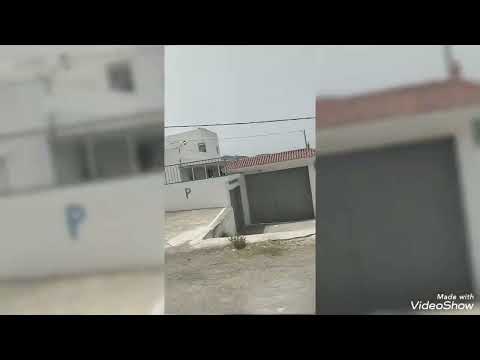 سريني سليني نشوف بلادي