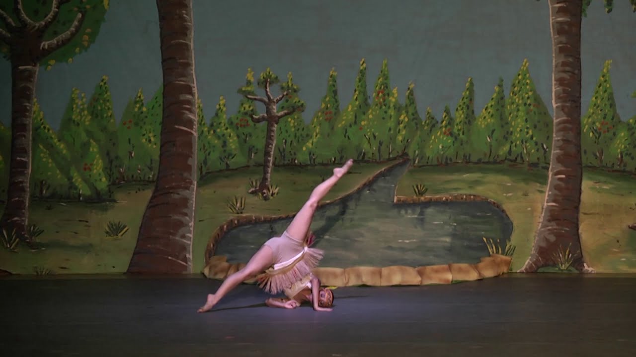 VITÓRIA RÉGIA - Festival Alerta Amazônia - Studio de Danças Sinara Kataline