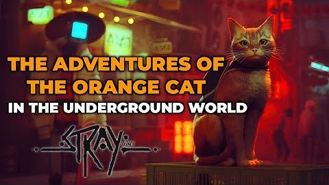 VERHAAL: DE AVONTUREN VAN DE ORANJE KAT IN DE ONDERGRONDSE WERELD