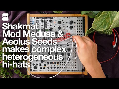 Mod Medusa and Aeolus Seeds for heterogeneous complex hi-hats