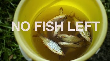 A Man made Tragedy:  The Overexploitation of Fish Stocks