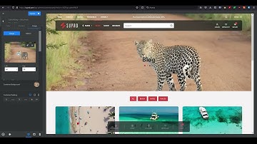 Blocksy: How to - Page/Post title background image