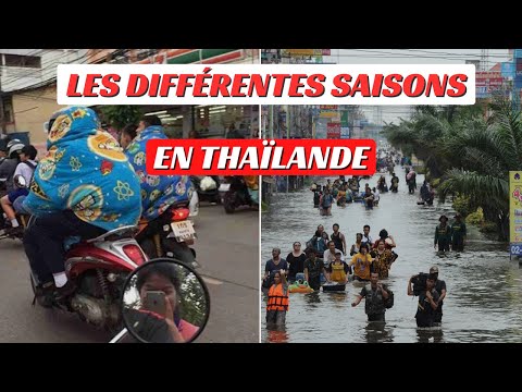 Vidéo: Saison à Phuket : quel est le meilleur moment pour se détendre