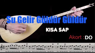 Hadi Saz Çalalım - Su Gelir Güldür Güldür Resimi