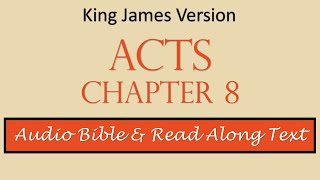 Acts 8 | KJV DRAMATIZED AUDIO BIBLE WITH TEXT