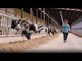 Wisconsin Life | Dairy Farm Life