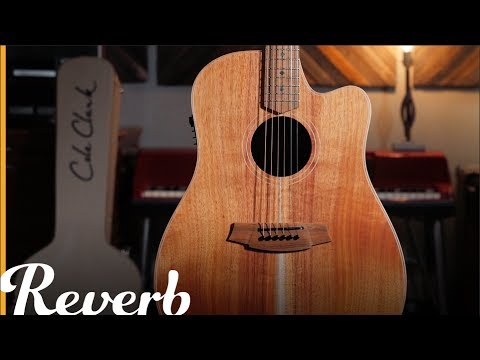 ギター UIUI ColeClark FL2EC RDBW FatLady2 Cole Clark Fat Lady 2